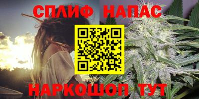прущие грибы Балаково